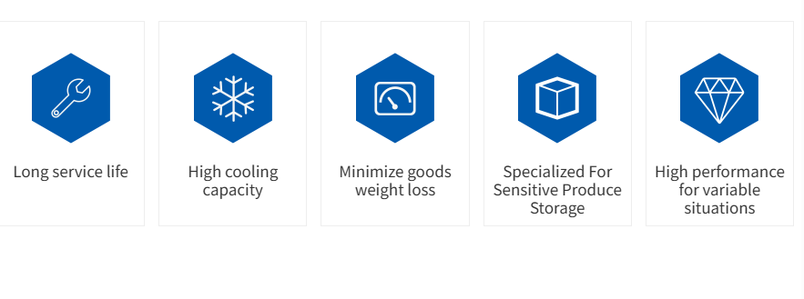 Caracter&iacute;sticas