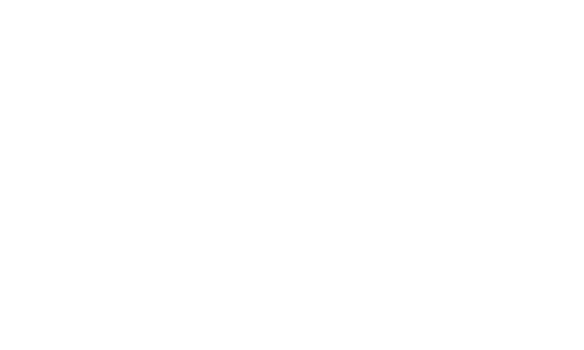Logotipo de STELX