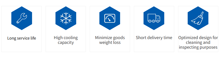 Caracter&iacute;sticas